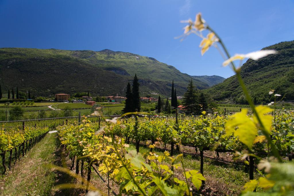 Agriturismo Maso Lizzone Dro Kültér fotó