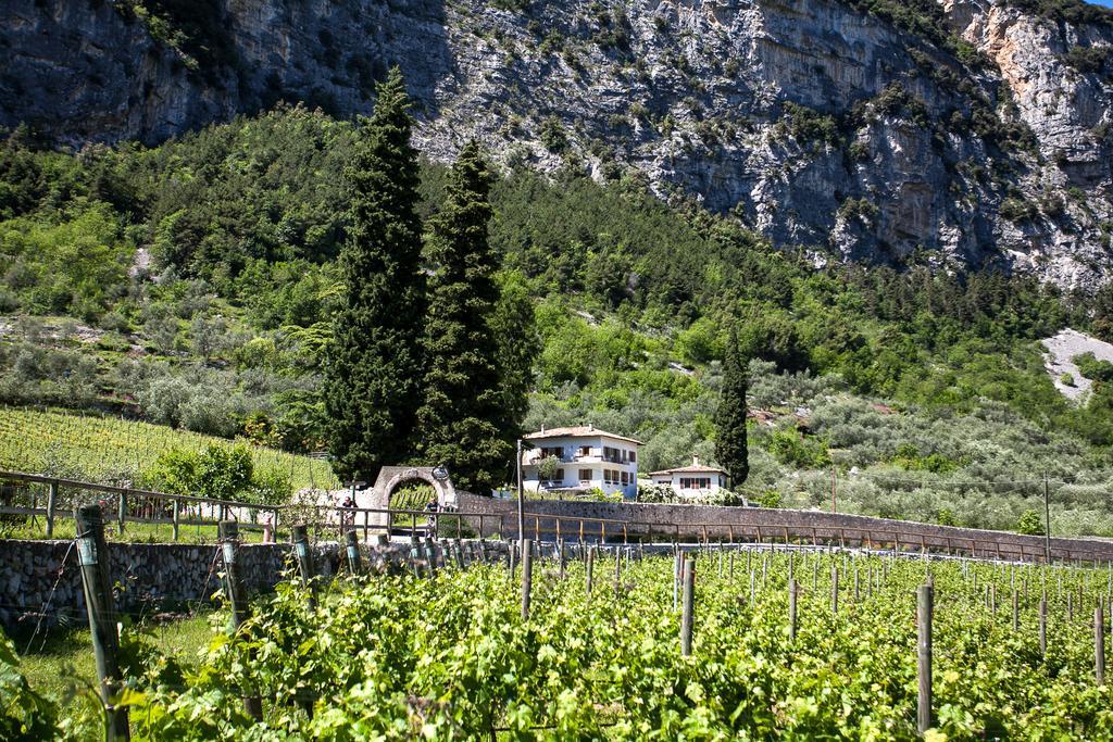 Agriturismo Maso Lizzone Dro Kültér fotó